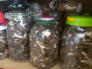 I have dried mushrooms for sale: boletes from the