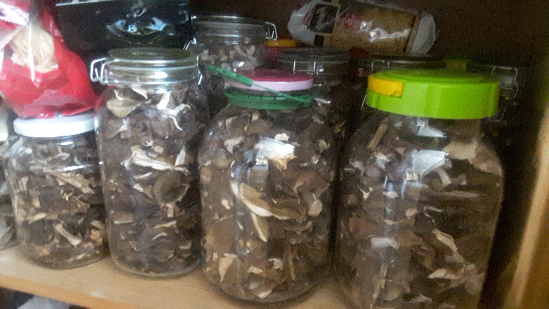 I have dried mushrooms for sale: boletes from the 2020 harvest Possibility to sell only boletus or a mix of boletus with cossack, also red cossack or boletus