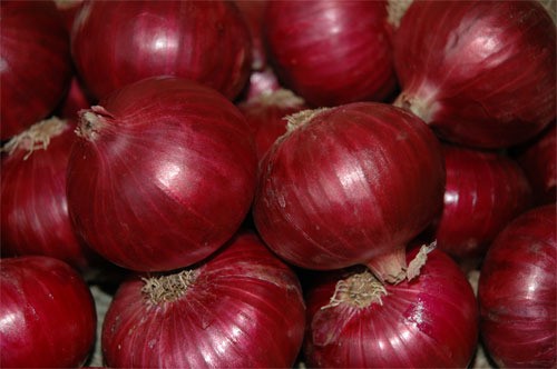 I will sell Onion for this year's harvest, country of origin India, amount to be agreed, Contact Information Email.