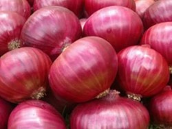 I will sell Onion for this year's harvest, country of origin India, amount to be agreed, Contact Information Email.