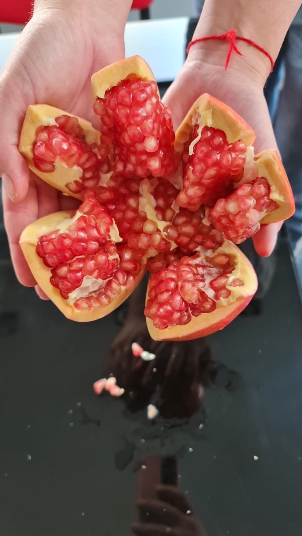 Pomegranates from Spanish producers, Mollar variety (very soft seeds), cal