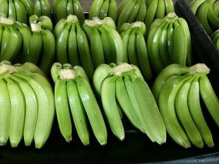 We export according to your need the Green bananas