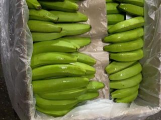 CAVENDISH VALERY-BANANA , 80,000 kg, Wien