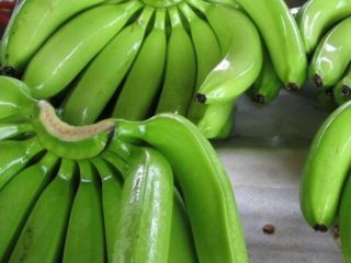 Color Green, yellow Diameter 3-4cm Length 17-20cm Age of