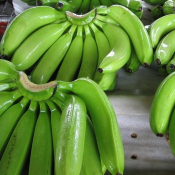 Color Green, yellow Diameter 3-4cm Length 17-20cm Age of harvest 7,5 - 9 weeks Size 4/5/6 hands per carton box 1 carton box 13.5kg net weight 40’ reef