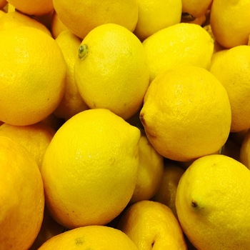 Product Name Fresh Lemon Color Yellow Grade Class A Size (cm) 56/64/75/88/100/113/125/138/150/162/189/216 Harvest Time From Sep to the end of May of next year