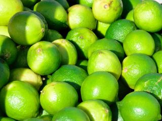 Our business is exporting Fresh Fruit, especially Fresh Lime/Lemon