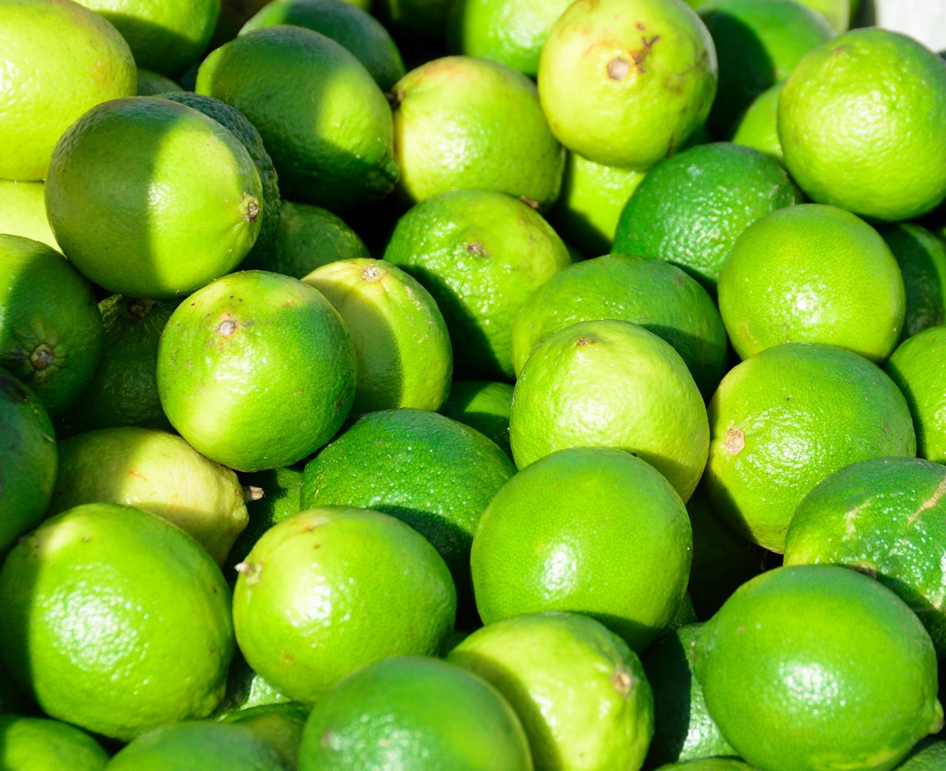 Our business is exporting Fresh Fruit, especially Fresh Lime/Lemon in high quality and cheap price that is very competitive in the market