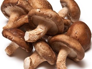 Morel is with rich nutrition, according to the determination