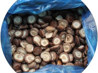 Specification: 1. whole: cap dia:2-4cm,4-6cm 2.Slices: thickness
