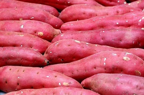 Product Name Fresh Sweet Potato Fruit Color Japanese Sweet Potato Purple, Yellow Shape Oval or elongated tuber, crooked/ constricted, not badly disgigured