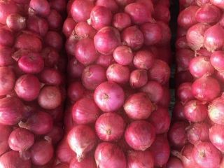We Export Quality Big Onions around the world and
