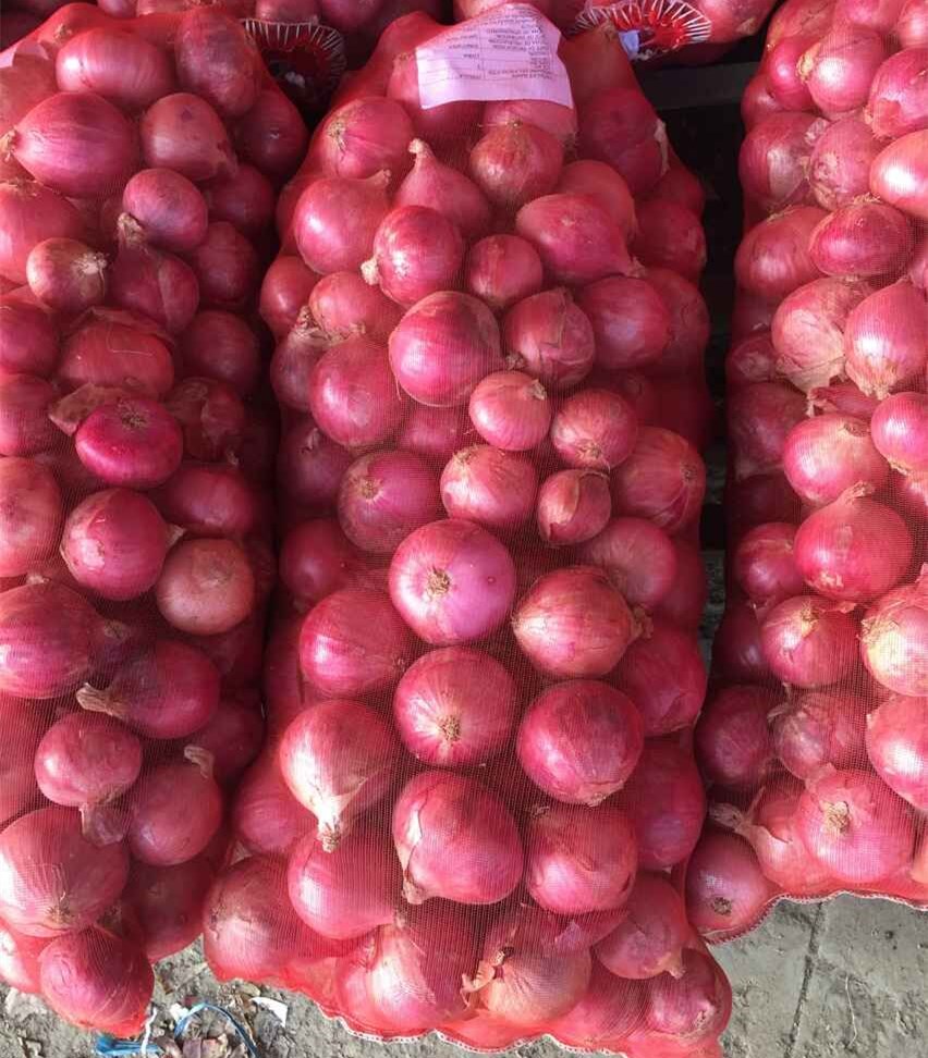 We Export Quality Big Onions around the world and are in demand from USA, EU, Singapore, Malaysia, Thailand, Vietnam, UAE and Kuwait