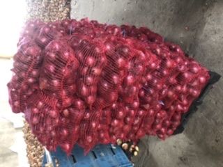 Red onion packed 5 kg cal 4.5+