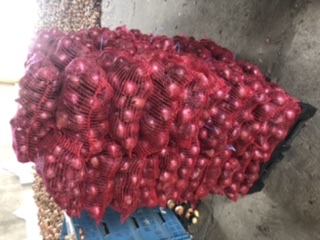 Red onion packed 5 kg cal 4.5+