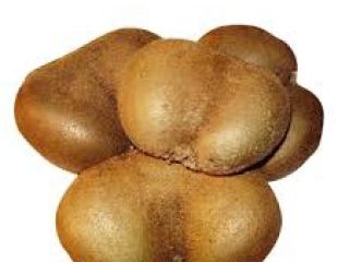 Exstra Sp. Z o. O. Offers KIWI delivery from
