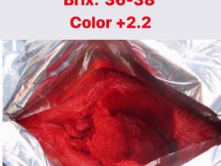 I OFFER THE DELIVERY CONCENTRATE TOMATO BRIX 36-38 from