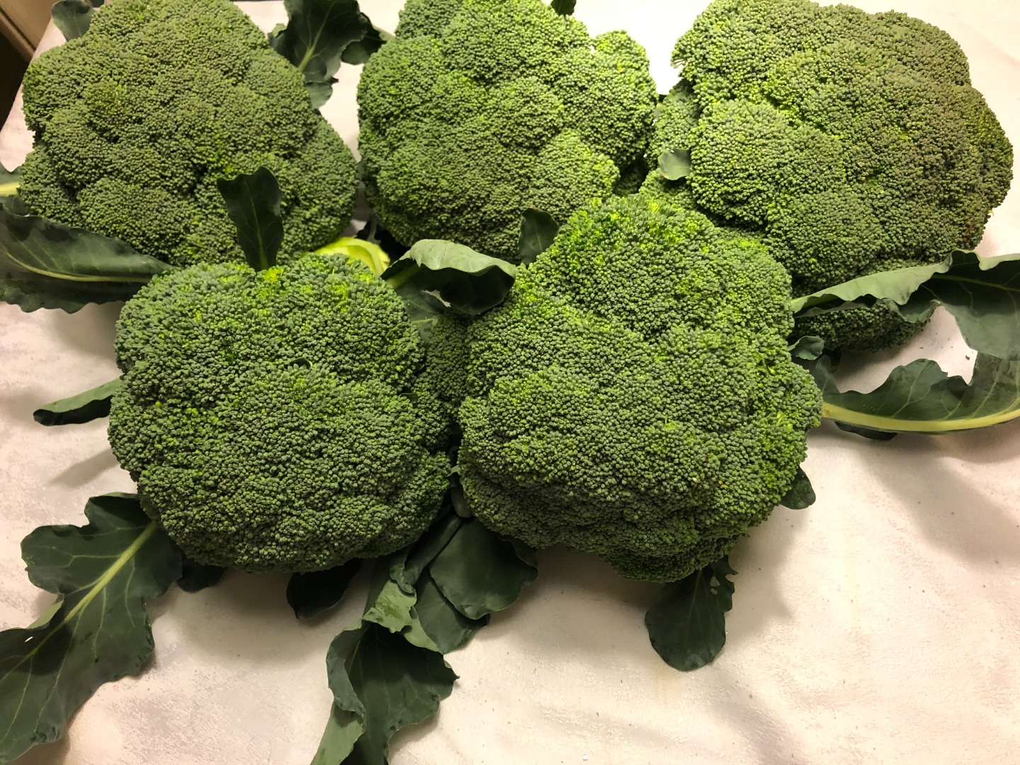 I am selling 100% organic broccoli