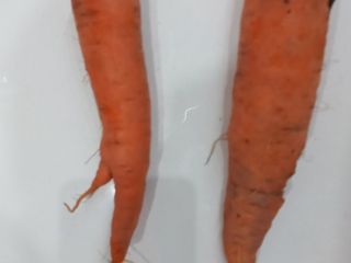 I will sell a carrot.