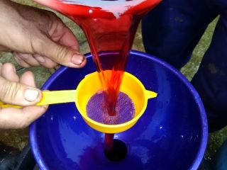 I am selling Mustard Muscat Ottonel, Merlot and Mustuasa