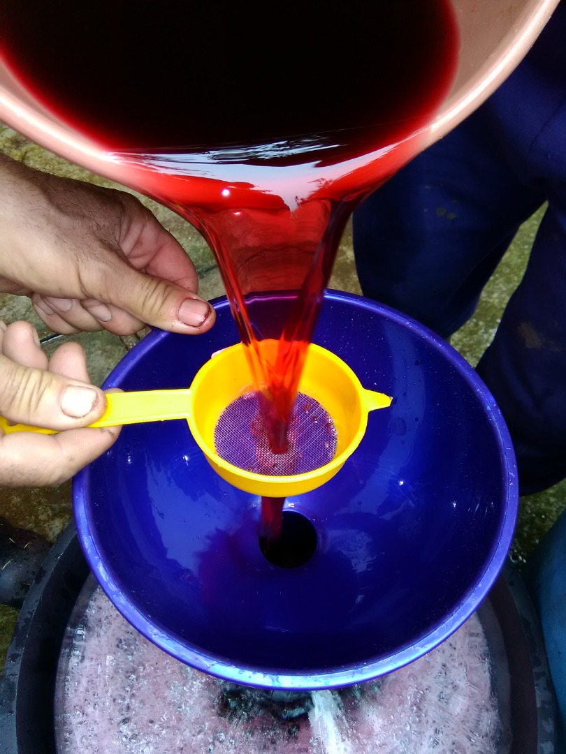 I am selling Mustard Muscat Ottonel, Merlot and Mustuasa de Maderat grapes, and Clock in large and small quantities