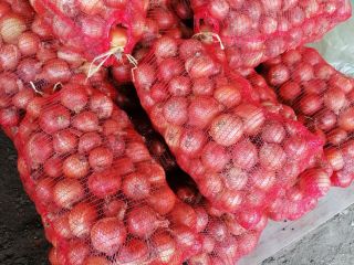 I am selling a 15t onion, the price is