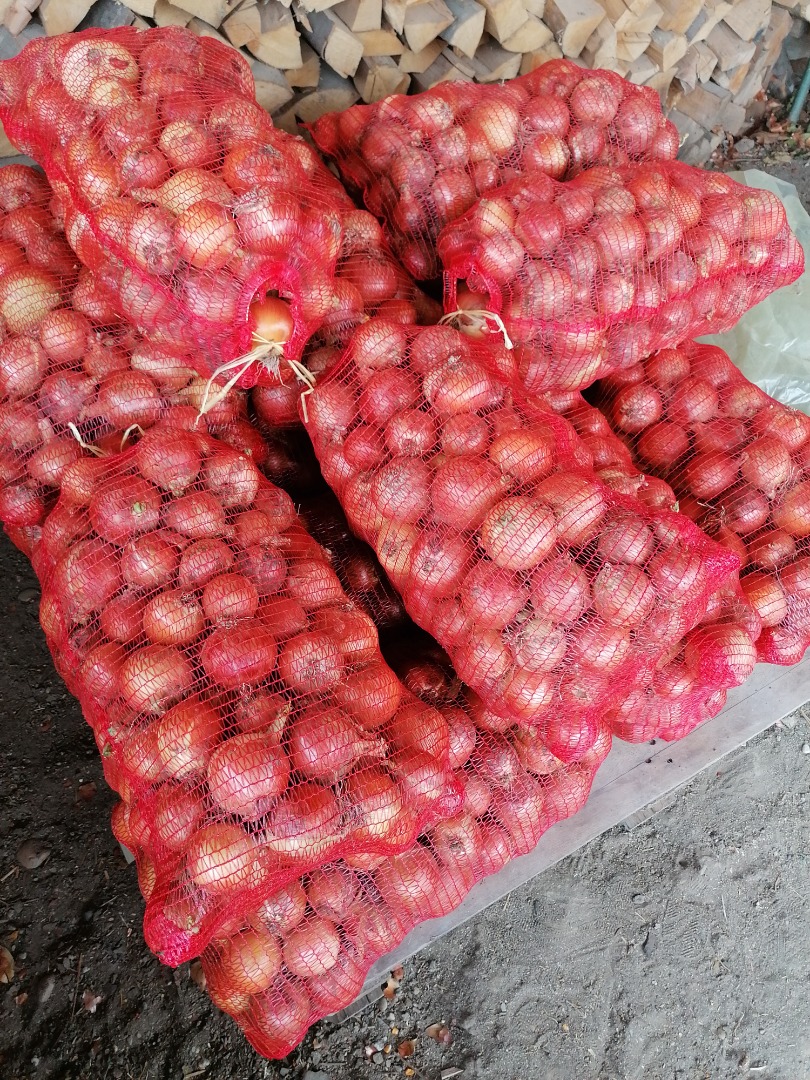 I am selling a 15t onion, the price is discussed on the phone