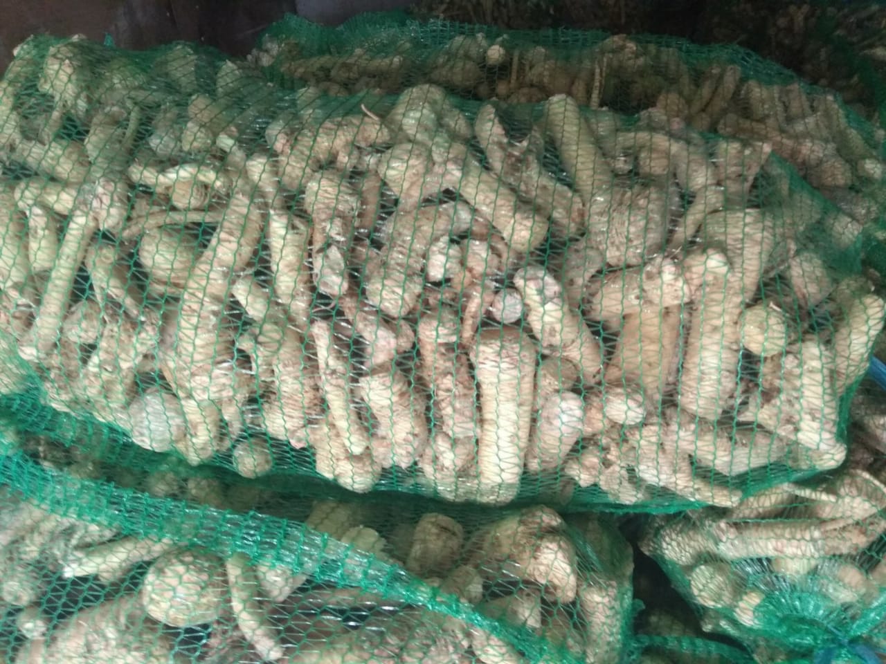 The Ukrainian company sells environmentally friendly horseradish