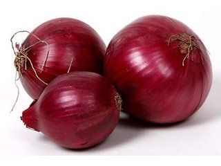 high quality China onion price Descpription of Onion. China