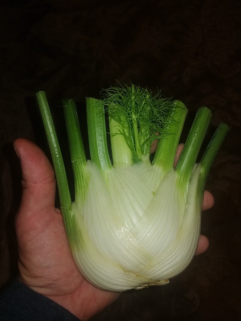 I will sell fennel (fennel)