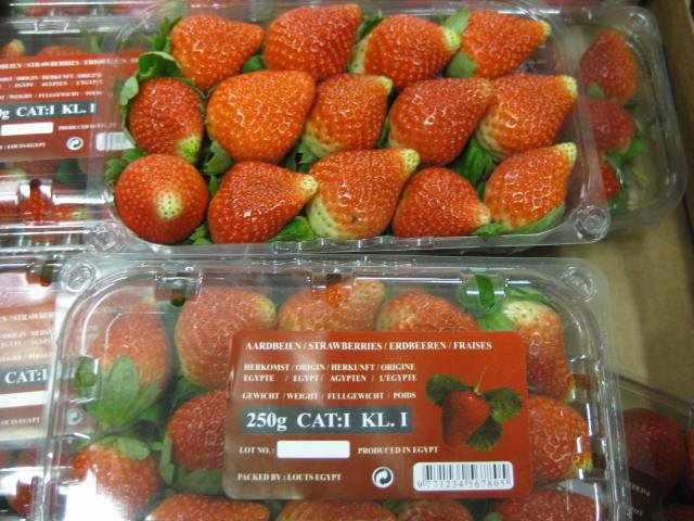 We like to offer you to Enjoy our Egyptian fresh organic Strawberry , the fruits of life and prosperity, all hours of the day, giving the refreshment, health