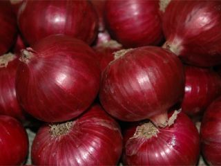 Hello, I am selling yellow onions, loose or packed