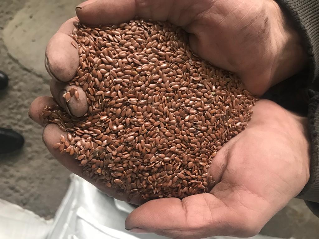 White mustard, glyphosate free, packed in Big Bag, Very Good Quality, 22 tons, Rye, triticale, groats, millet, vetch, flax, milk thistle and others