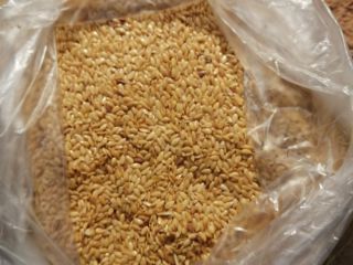 Golden linen, purity 98%, moisture 9%, impurities / admixtures