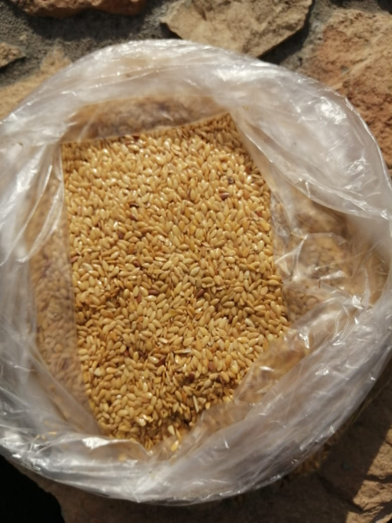 Golden linen, purity 98%, moisture 9%, impurities / admixtures max 1.0%, non-GMO