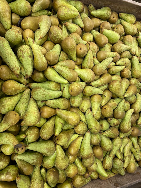 I will sell a pear gruga conference, 85-90% 60+, the rest 15.10% are sizes over 55+ Marta
