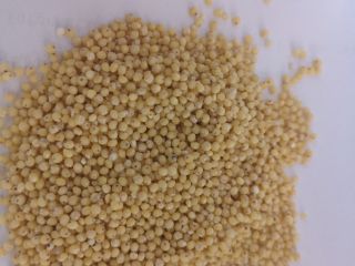 For sale, spelled, millet, buckwheat in bulk or in