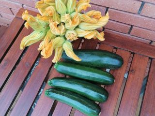 I will sell courgettes, I can sort about 500