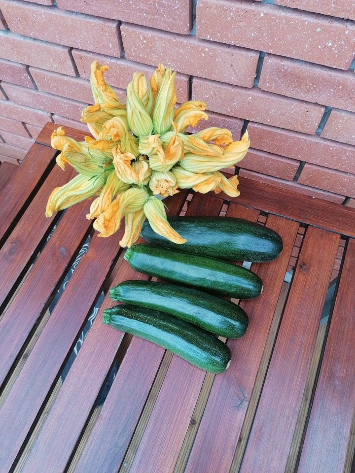 I will sell courgettes, I can sort about 500 kg by size and pack them into the net