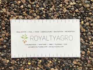 LLC "Royalti Agro" offers buckwheat of the Altai Territory,