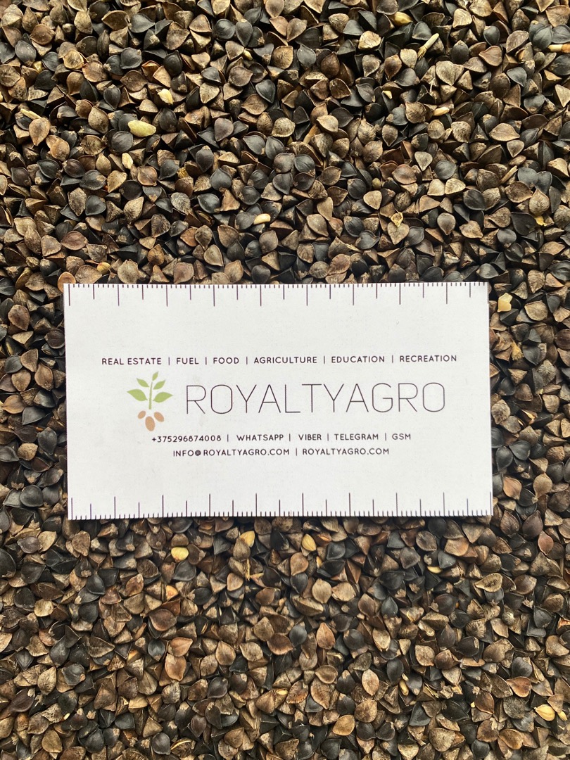 LLC "Royalti Agro" offers buckwheat of the Altai Territory, in bags of 50 kg, without herbicides, from a warehouse in Smolensk