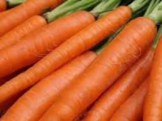 Product Name Fresh Carrot Type Fresh Color Brightly Red