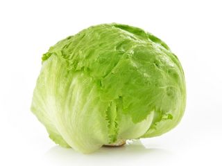 Iceberg lettuce packed in 10 or 8 pieces in