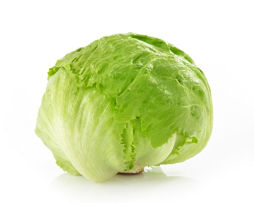 Iceberg lettuce packed in 10 or 8 pieces in a carton, depending on the size and customer order