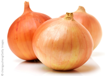 Fresh harvest of red and yellow onion available for export in Denmark please contact directly via email or whatsapp: email