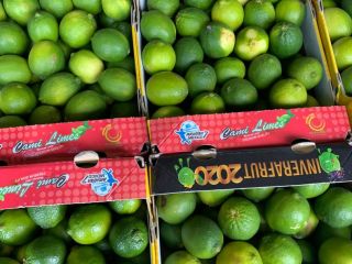 Lime 4 kg price depends on the situation on