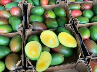 Mango 4kg 28 PLN carton price depends on the