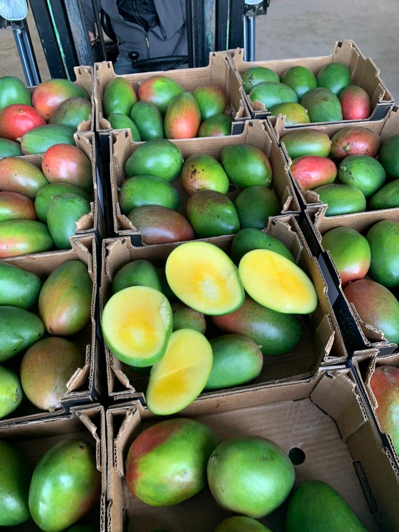 Mango 4kg 28 PLN carton price depends on the situation on the Dutch market and quantity