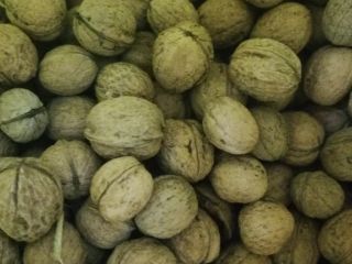 I will sell 3-4 large bags of walnuts. The