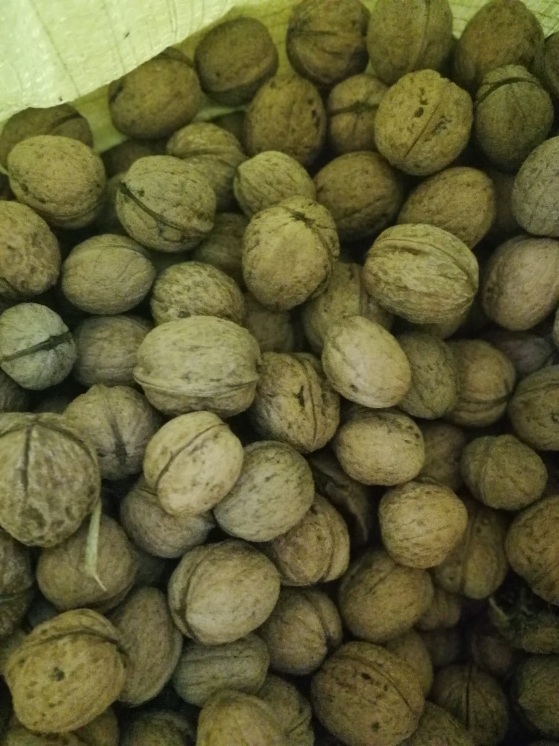 I will sell 3-4 large bags of walnuts